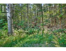 3044 Loop Road, Highlands East, ON K0L3C0 Photo 20