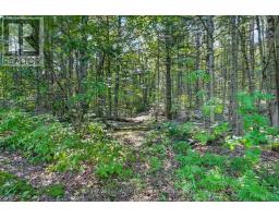 3044 Loop Road, Highlands East, ON K0L3C0 Photo 21