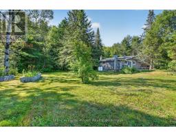 3044 Loop Road, Highlands East, ON K0L3C0 Photo 23