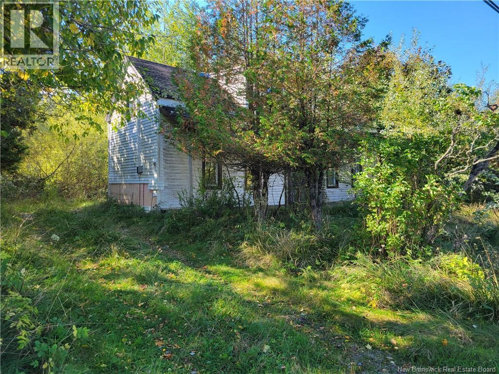 663 Bay Street photo 2