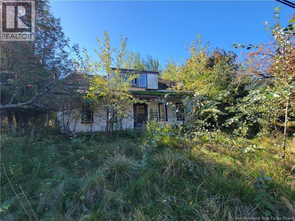 663 Bay Street photo 3