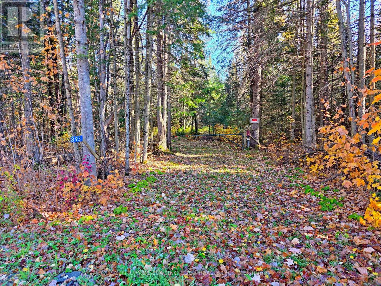 893 Yearley Road, Huntsville, ON