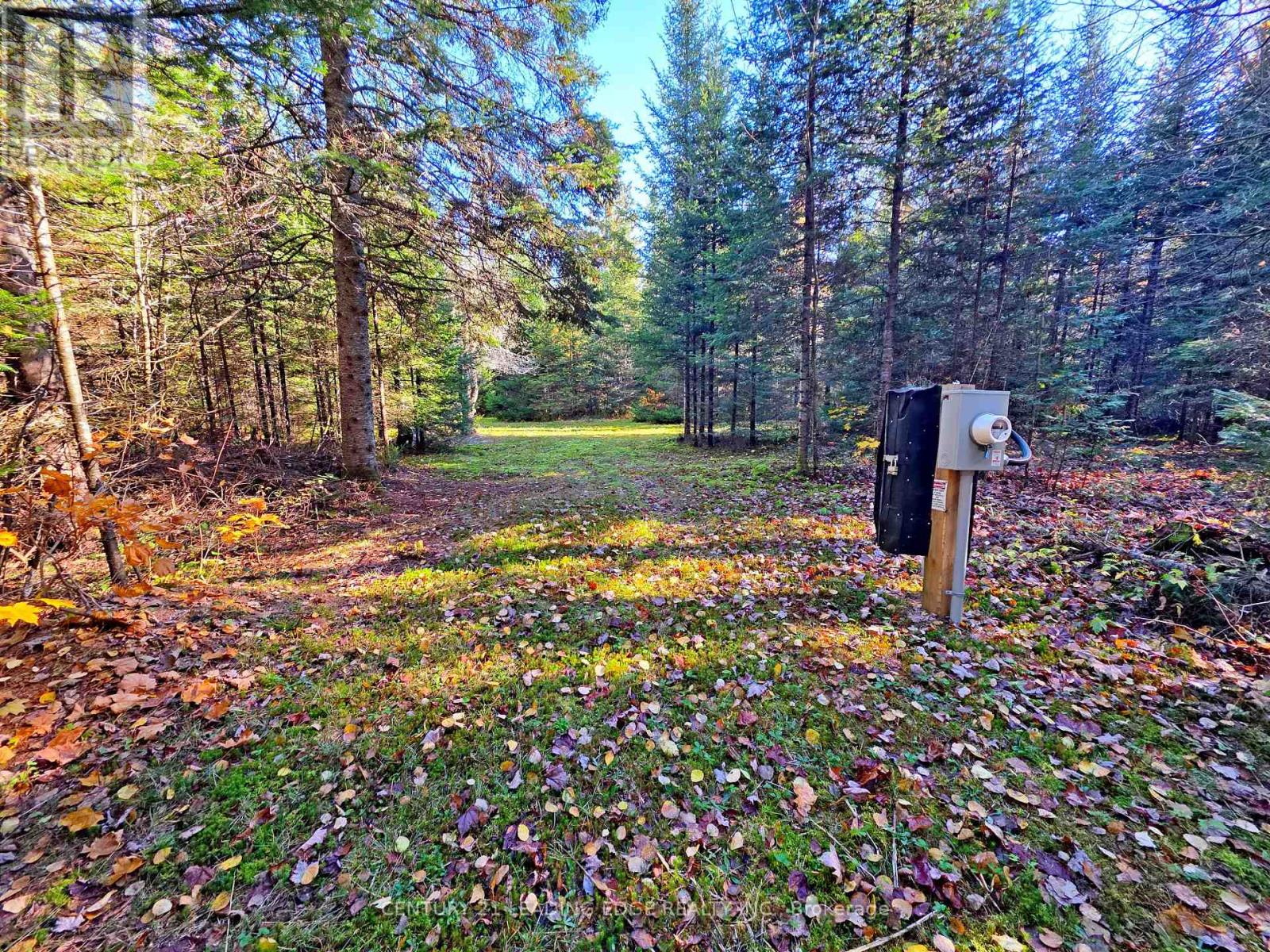 893 Yearley Road, Huntsville, ON photo 3