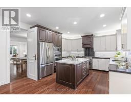 248 Haddington Avenue, Toronto, ON M5M2P9 Photo 18
