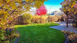 621 41st Street, Brandon, MB R7B4E2 Photo 29