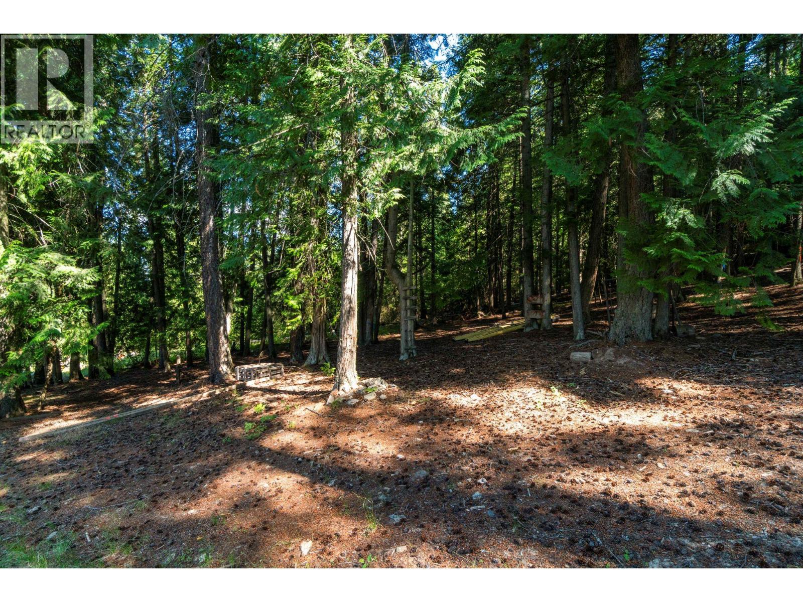 2009 Eagle Bay Road - 66