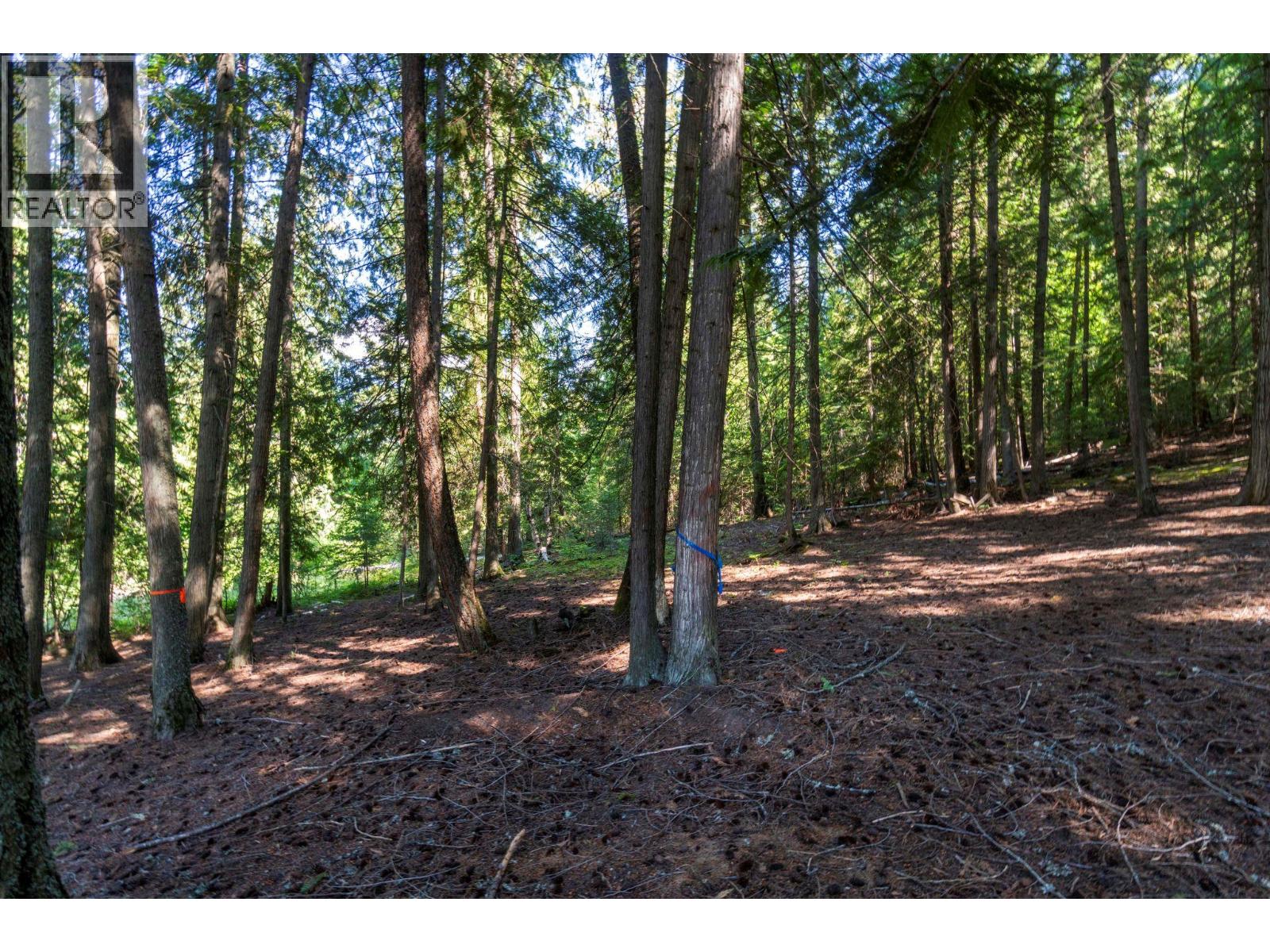 2009 Eagle Bay Road - 67