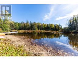 185 Fisher Lake Lane, Kearney, ON P0A1J0 Photo 36