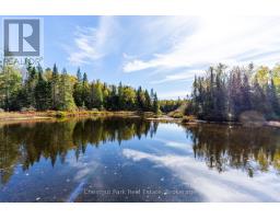 185 Fisher Lake Lane, Kearney, ON P0A1J0 Photo 37