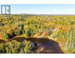 185 Fisher Lake Lane, Kearney, ON P0A1J0 Photo 39