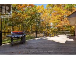 61 White Elm Road, Barrie, ON L4N0E5 Photo 34
