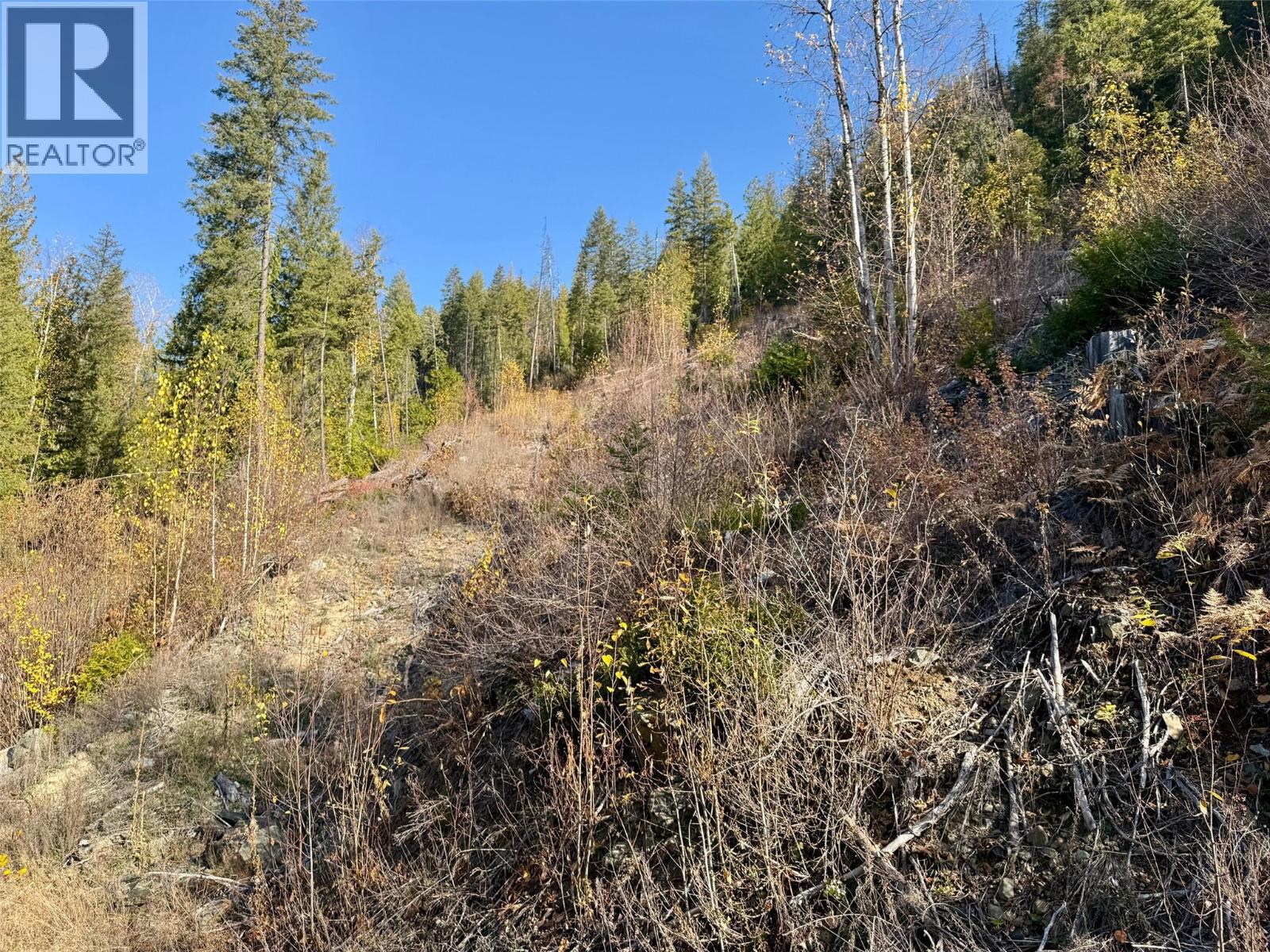 3B Highway Lot# 291, Fruitvale - Image 1