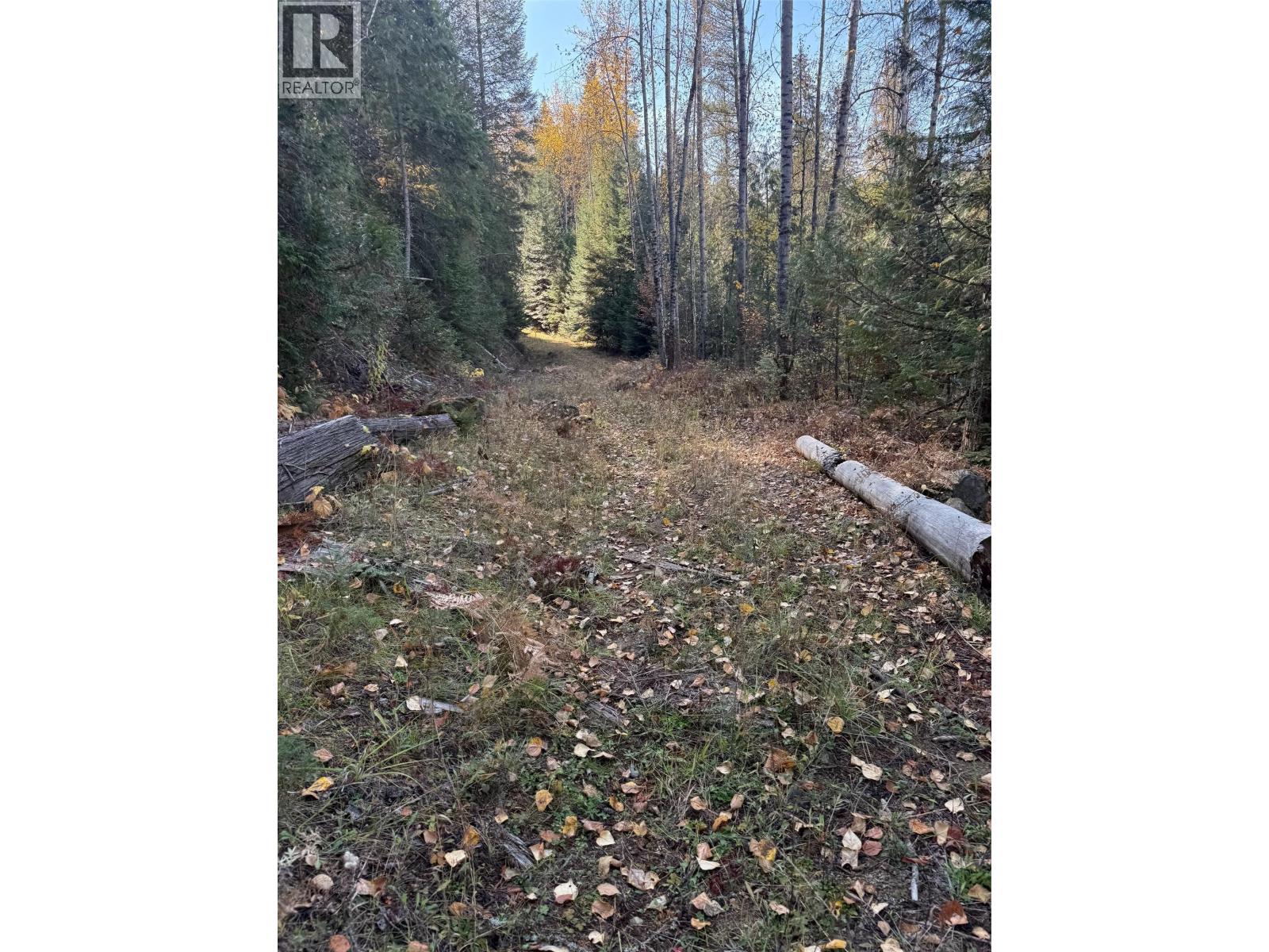 3B Highway Lot# 291, Fruitvale - Image 1