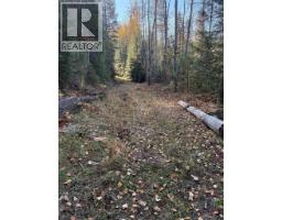 3b Highway Lot# 291, Fruitvale, BC V0G1L0 Photo 6