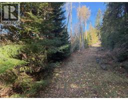 3b Highway Lot# 291, Fruitvale, BC V0G1L0 Photo 7