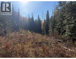 3b Highway Lot# 291, Fruitvale, BC V0G1L0 Photo 8