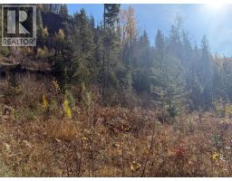 3b Highway Lot# 291, Fruitvale, BC V0G1L0 Photo 9
