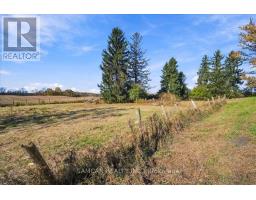 108 Jerseyville Road, Brantford, ON N3T5M1 Photo 24