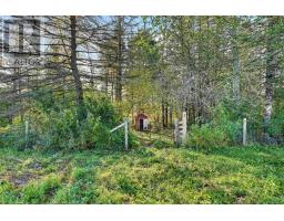 35 Old Halifax Road E, Newport Station, NS B0N2T0 Photo 29