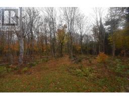 271 Sutherland Road, Nuttby, NS B6L6V1 Photo 15