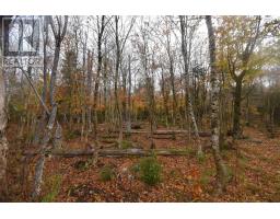 271 Sutherland Road, Nuttby, NS B6L6V1 Photo 16
