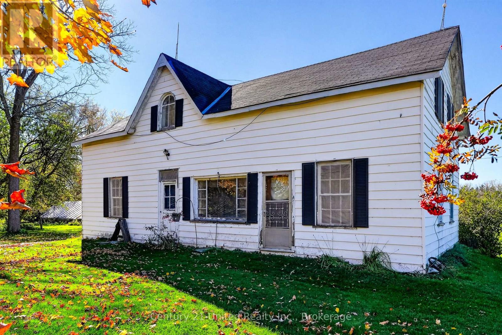 334 Silver Maple photo 3