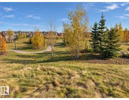 7030 21a Av Sw, Edmonton, AB T6X0T7 Photo 30