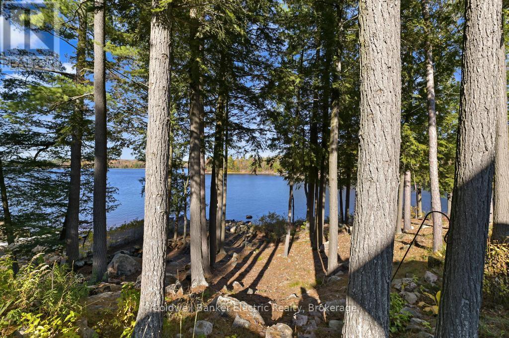 7- 1579 Anstruther Lake Road, North Kawartha, ON photo 30