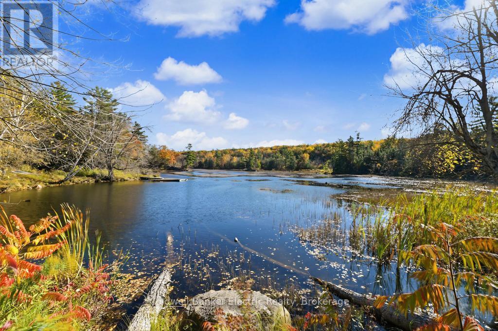 7- 1579 Anstruther Lake Road, North Kawartha, ON photo 31