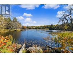 7 - 1579 Anstruther Lake Road, North Kawartha, ON K0L1A0 Photo 31