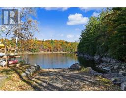 7 - 1579 Anstruther Lake Road, North Kawartha, ON K0L1A0 Photo 33