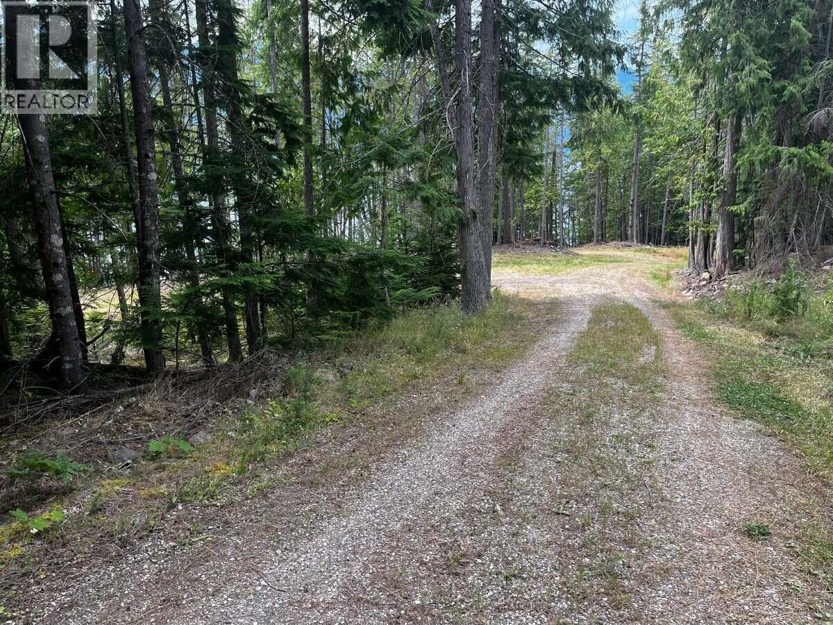 1087 Riondel Road - 31