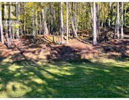 1087 Riondel Road, Riondel, BC V0B2B0 Photo 12