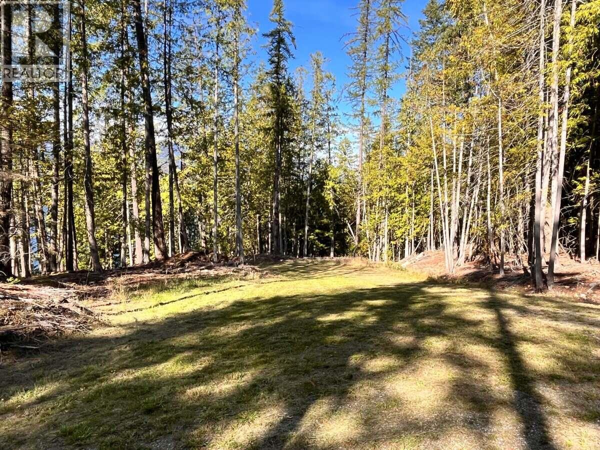 1087 Riondel Road - 29
