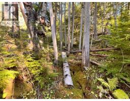 1087 Riondel Road, Riondel, BC V0B2B0 Photo 19
