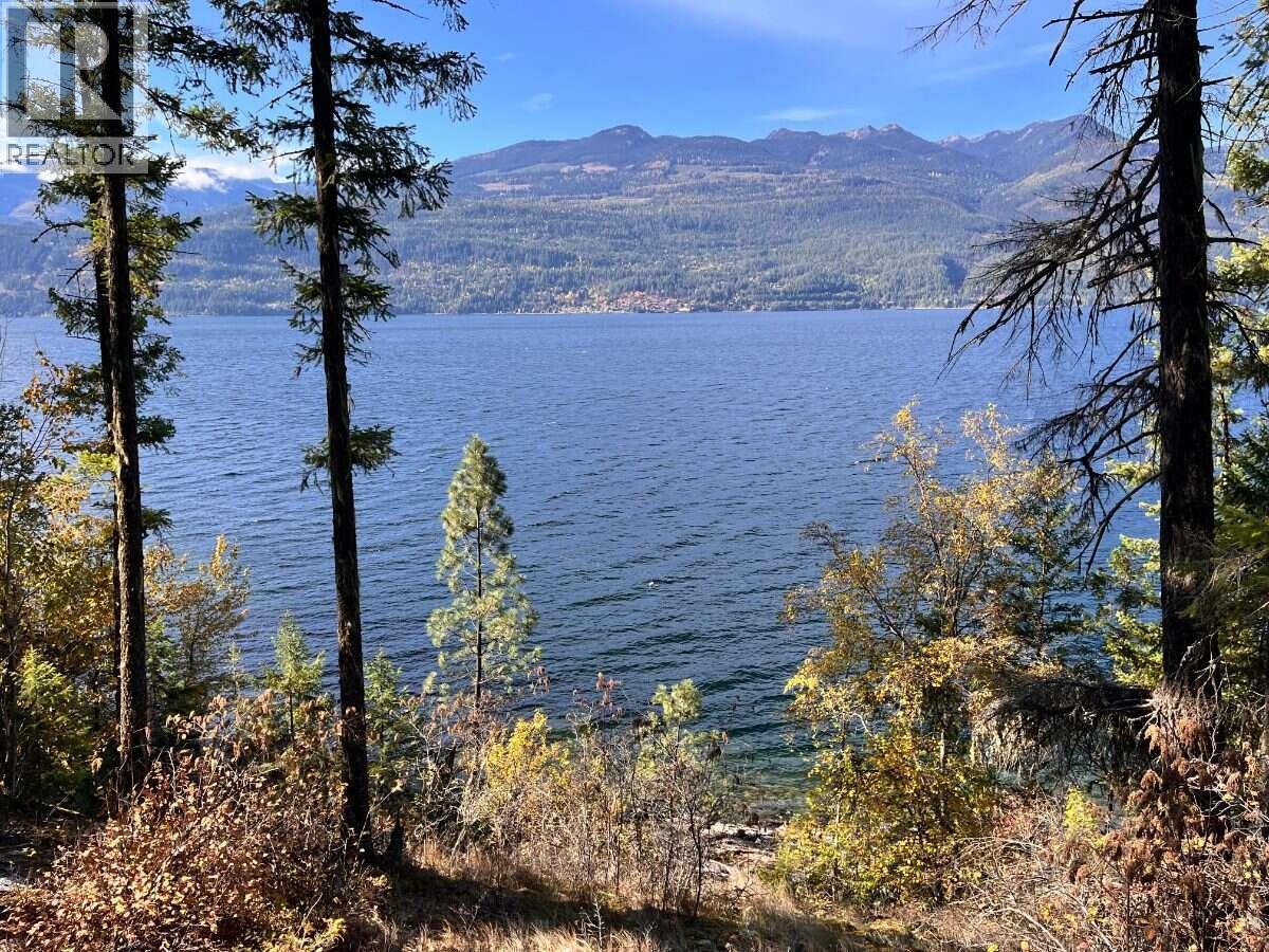 1087 Riondel Road - 16
