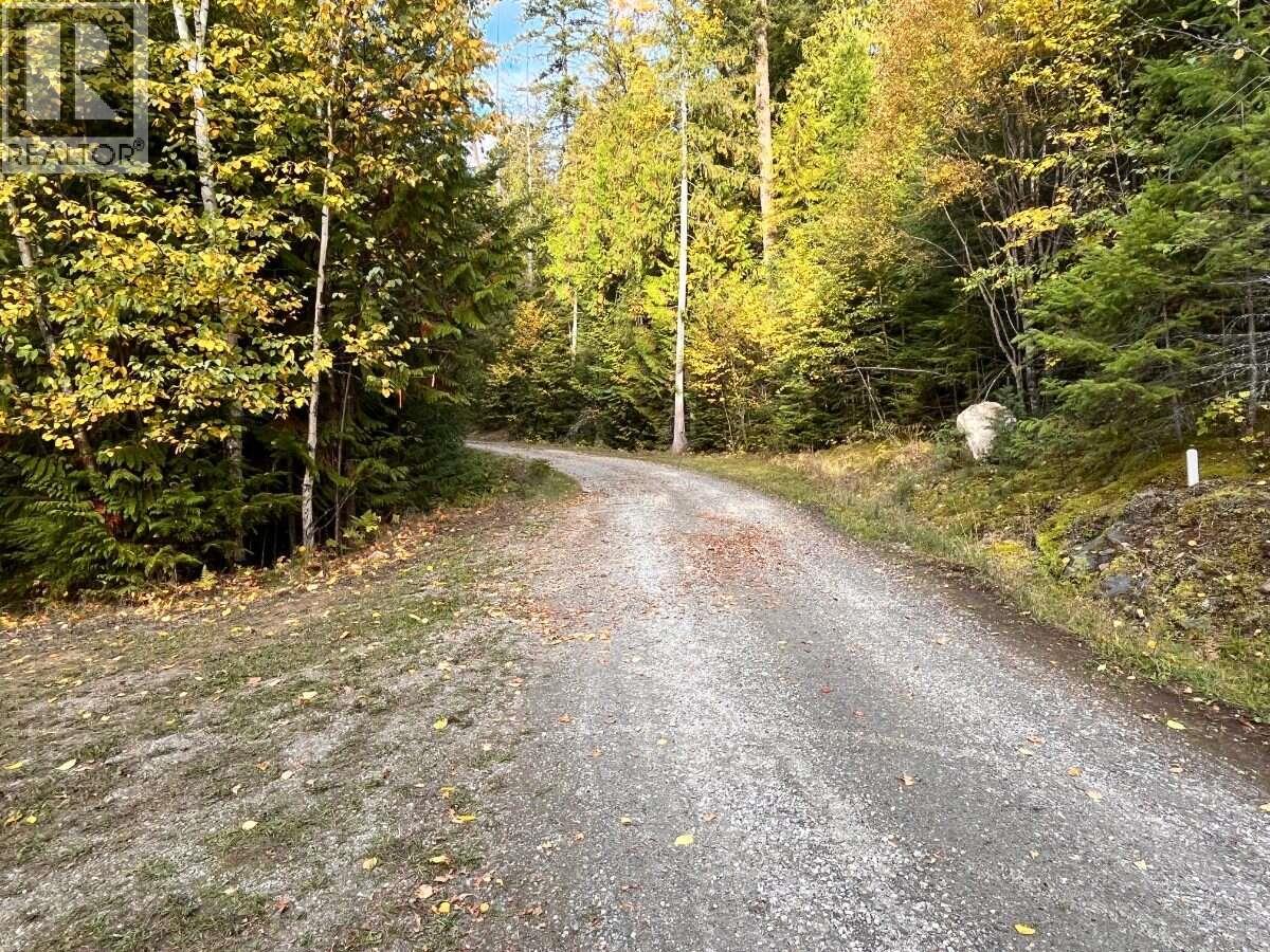 1087 Riondel Road - 32