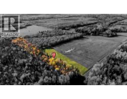 164 Bois Joli Road, Bouctouche, NB E4S2X1 Photo 14