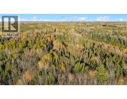Riverfront Lot 1 Coates Mills North Road, Sainte Marie De Kent, NB E4S1Y1 Photo 10