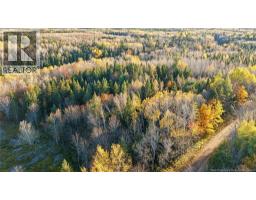 Riverfront Lot 1 Coates Mills North Road, Sainte Marie De Kent, NB E4S1Y1 Photo 46