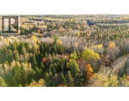 Riverfront Lot 1 Coates Mills North Road, Sainte Marie De Kent, NB E4S1Y1 Photo 47