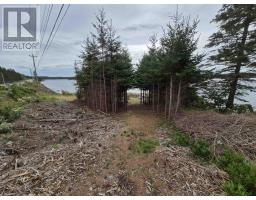 4639 Highway 7, Spanish Ship Bay, NS B0J2A0 Photo 34
