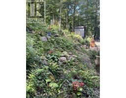 621 Deer Run Road, Magnetawan, ON P0A1C0 Photo 17