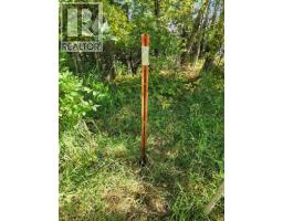 21, 513 Lloyd Lines Way, Rural Lac La Biche County, AB T0A2T0 Photo 7