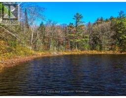 0 Frau Lane, Bracebridge, ON P1L1X3 Photo 13