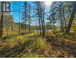 0 Frau Lane, Bracebridge, ON P1L1X3 Photo 6