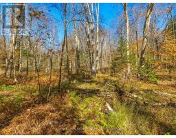0 Frau Lane, Bracebridge, ON P1L1X3 Photo 7