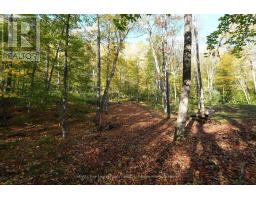 Pin 48064-0345 Sugar Bush Road, Lake Of Bays, ON P0A1H0 Photo 7