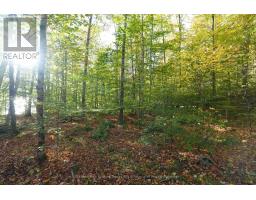 Pin 48064-0345 Sugar Bush Road, Lake Of Bays, ON P0A1H0 Photo 8
