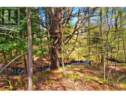 9 Highland Gate Boulevard, Minden Hills, ON K0M2K0 Photo 46